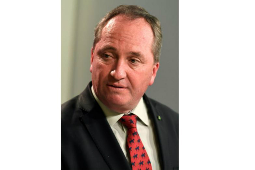 Entérese por qué el vice primer ministro australiano perdió el poder en menos de tres semanas