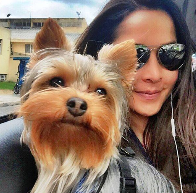 Carmen Villalobos compartió el sufrimiento de sus mascotas debido a la pólvora