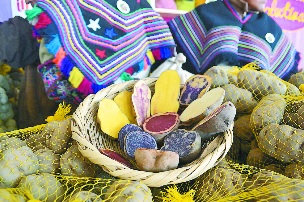 El proyecto de científicos peruanos para cultivar papas en Marte