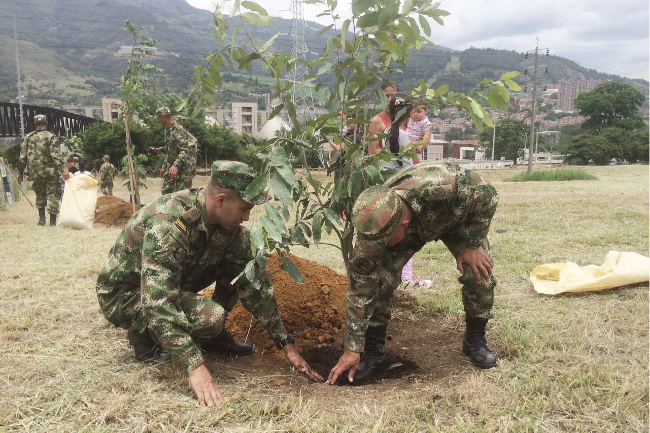 Ejército sembró más de 3.000 árboles en el Valle de Aburrá