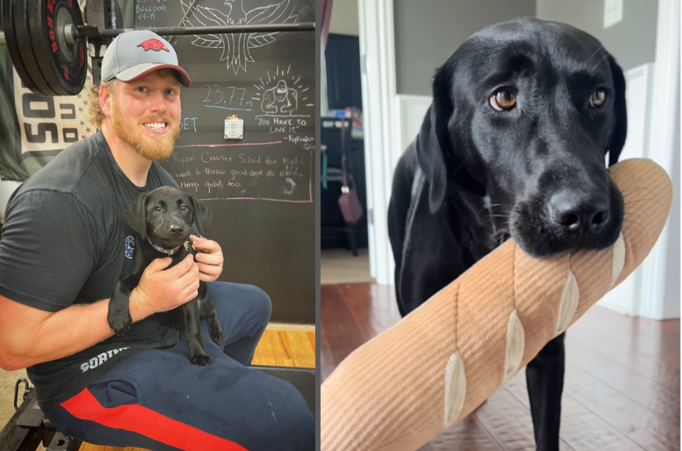 Koda, mascota del deportista Ryan Crouser
