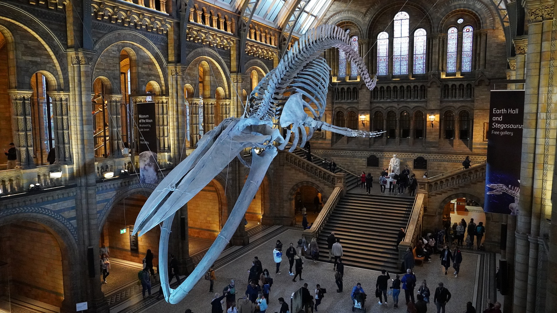 ¿Le interesa trabajar en el Museo de Historia Natural de Londres? Abren vacantes