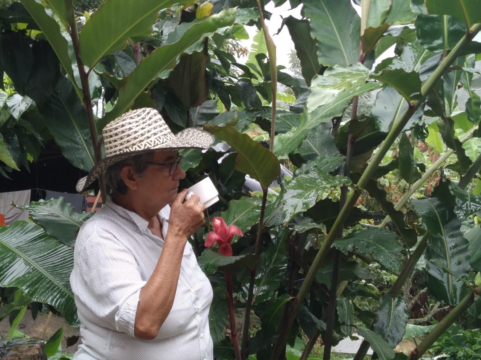 La tierra restituida a doña Cecilia Caballero, la nueva emprendedora de Santander
