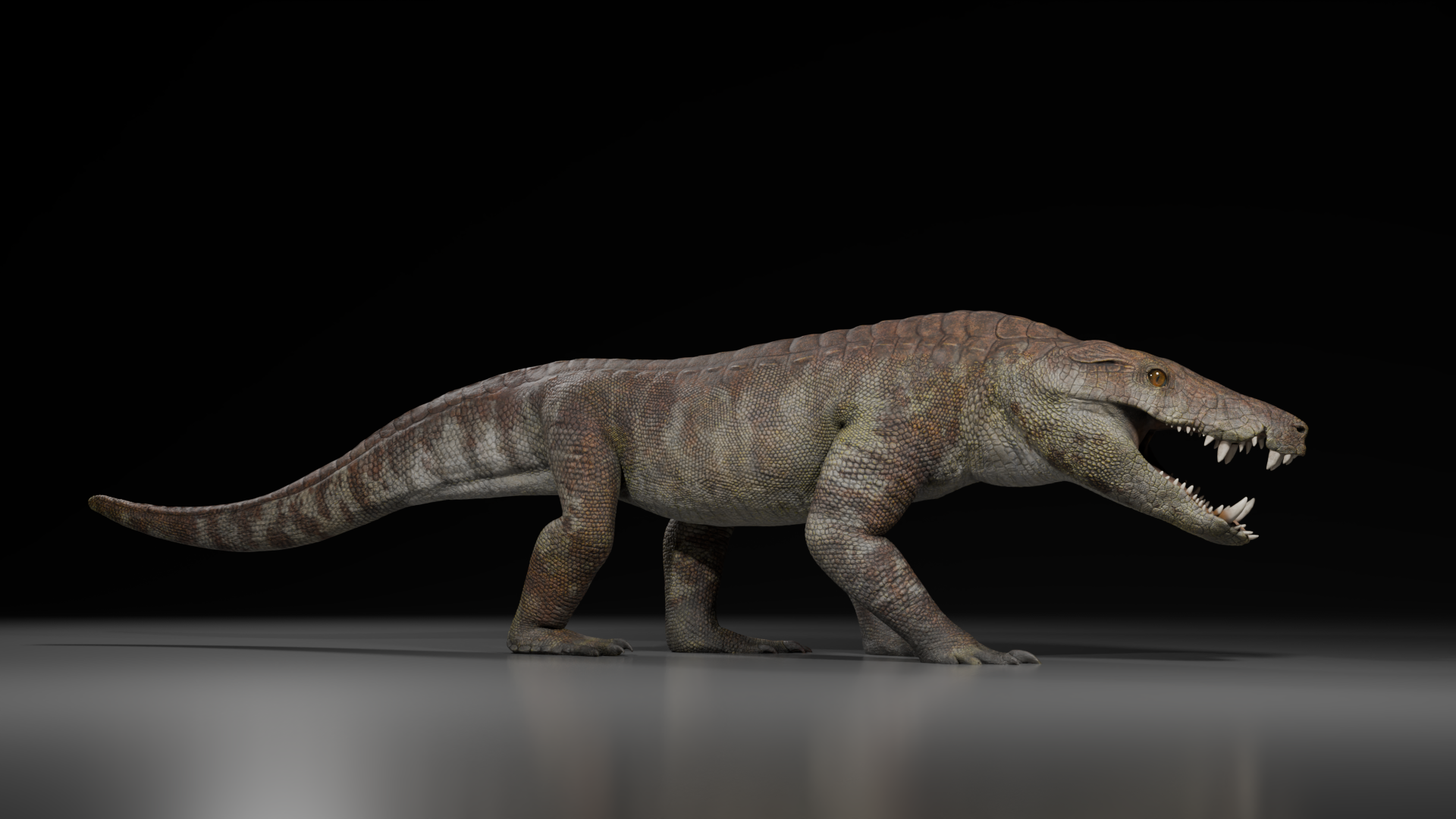 Hallan una nueva especie de cocodrilo que vivió hace 70 millones de años