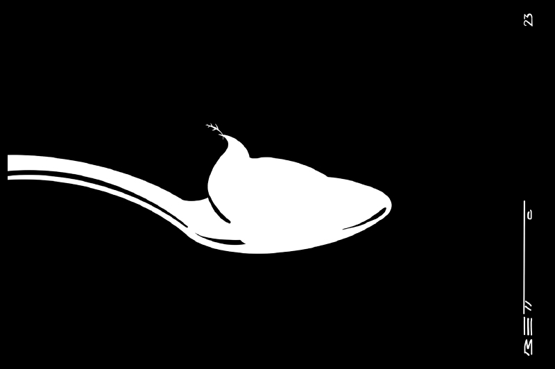 Crème de la crème