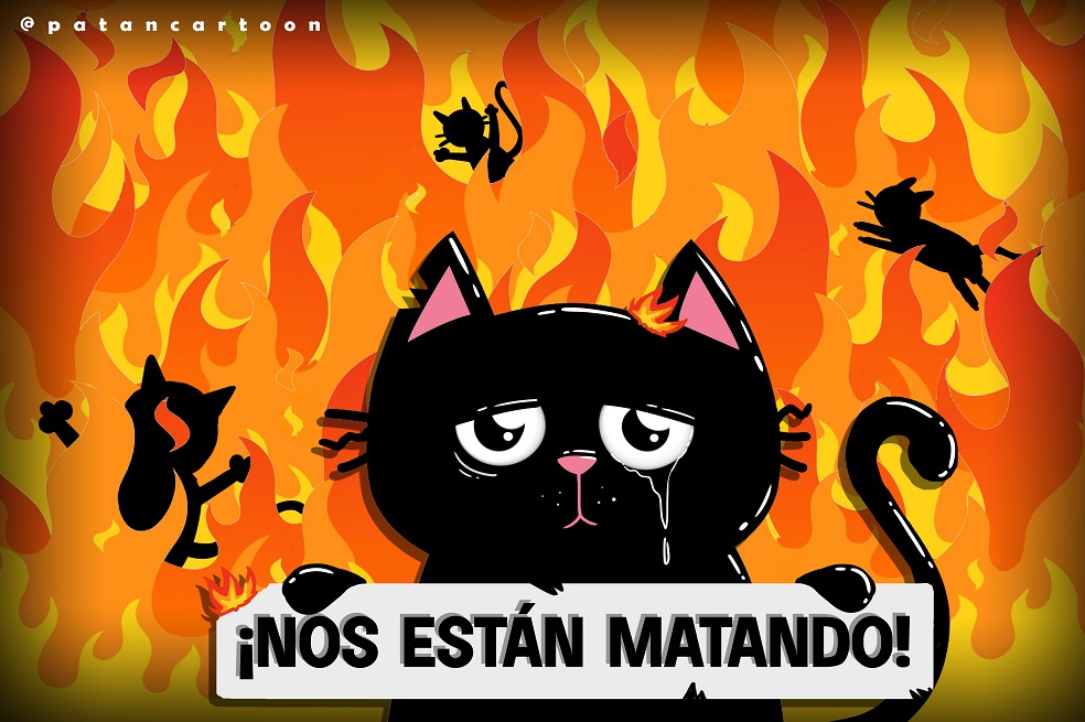 El maltrato animal en Colombia no cesa