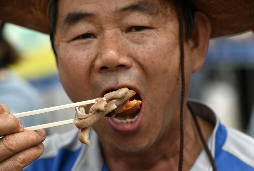 En fotos: Manifestaciones a favor y en contra del consumo de carne de perro en Corea del Sur