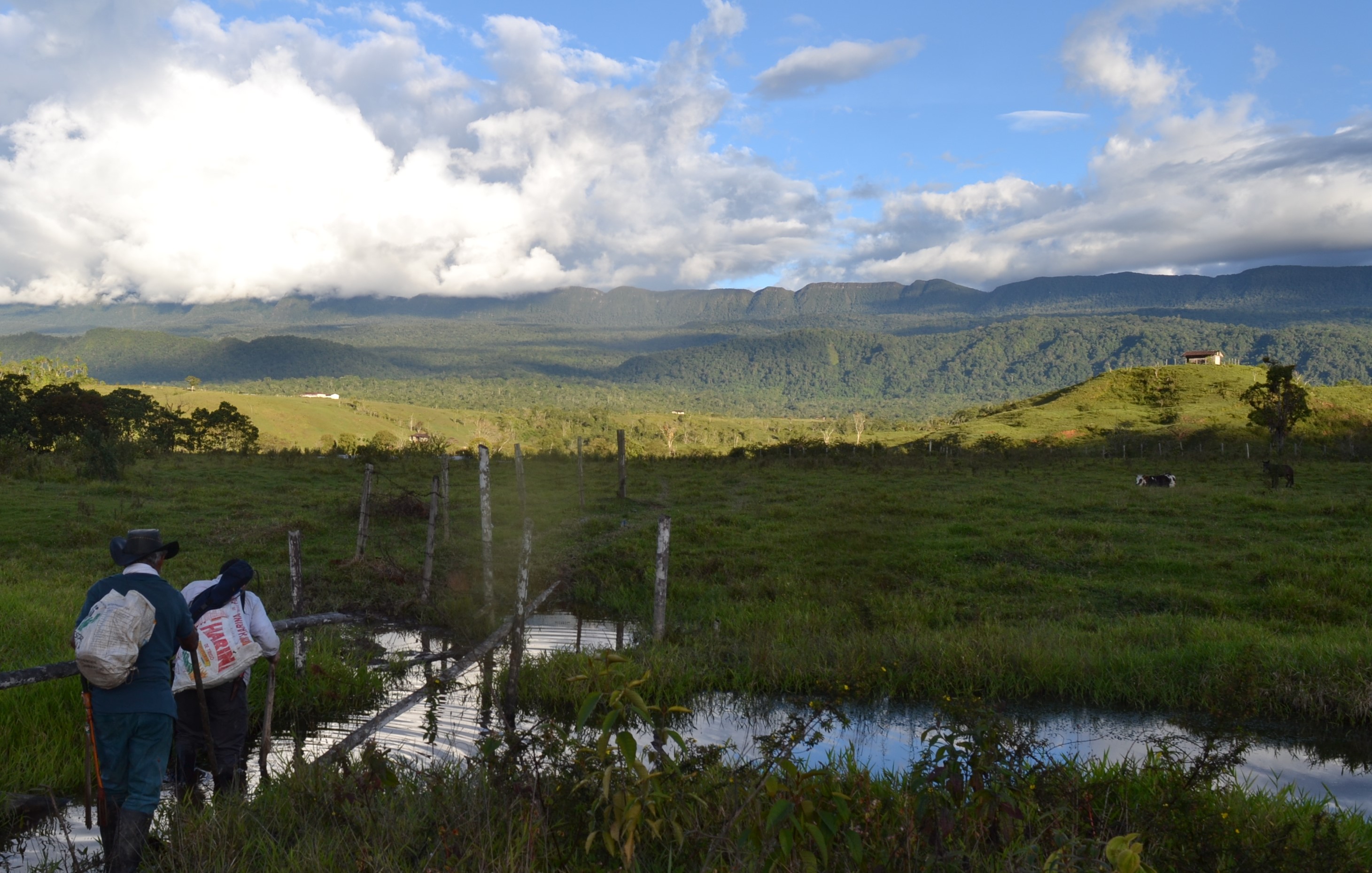 En 2019, el Bosque de Galilea fue declarado como un Parque Natural Regional.