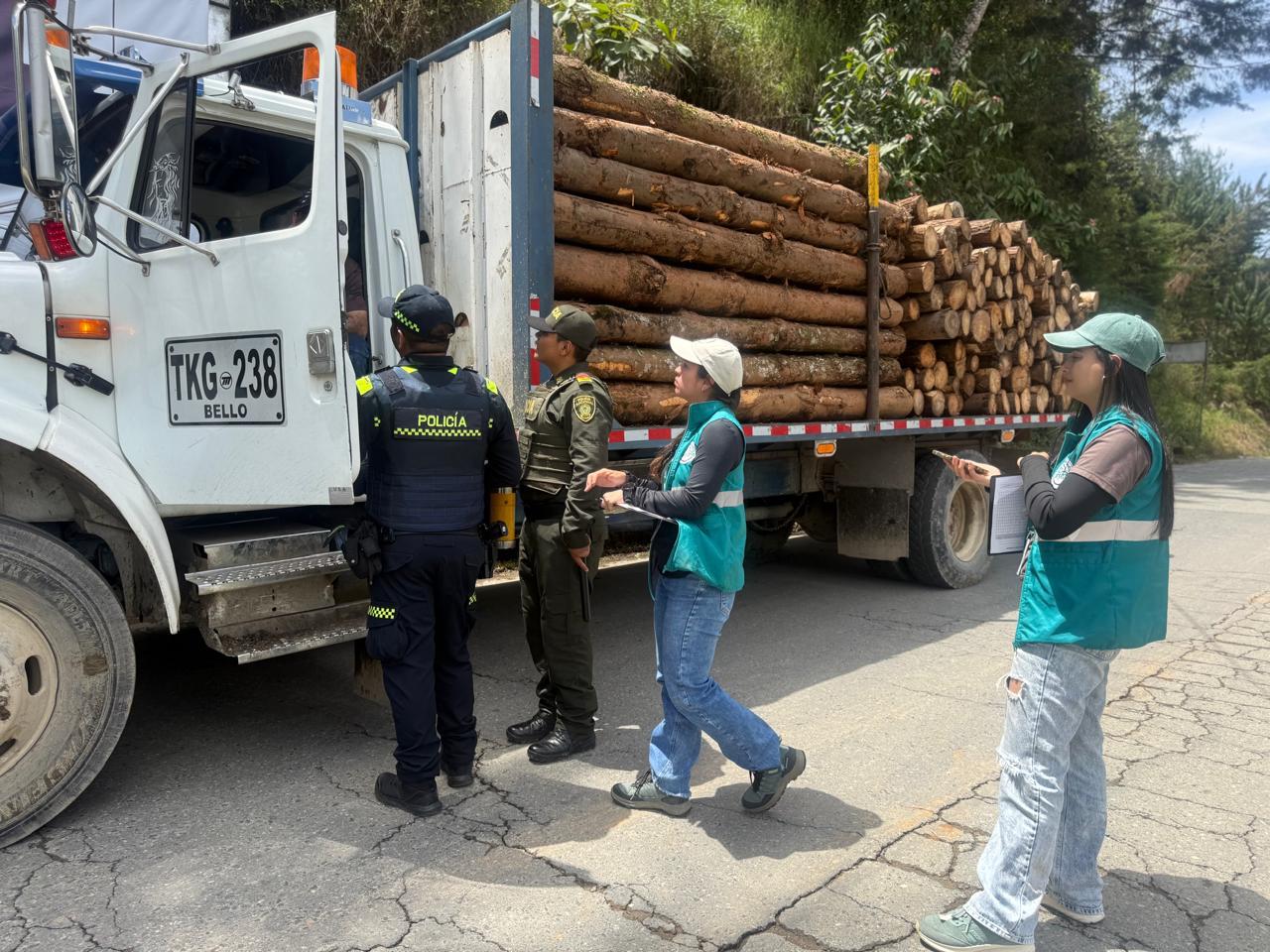 La jornada nacional de control se realizó en 125 puntos de verificación en las vías del país y en 179 empresas forestales. /Minambiente.