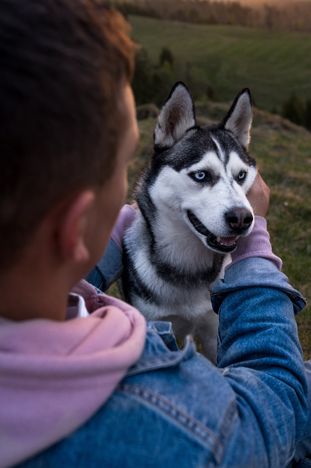¿Cómo cuidar a tu perro del sonido de la pólvora? Así lo puedes proteger
