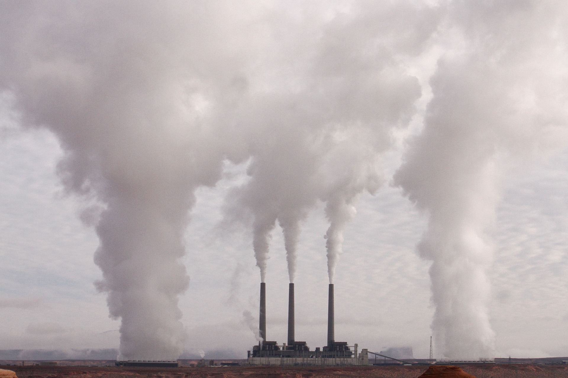 Contaminación del suelo es similar en espacios verdes urbanos y en zonas naturales