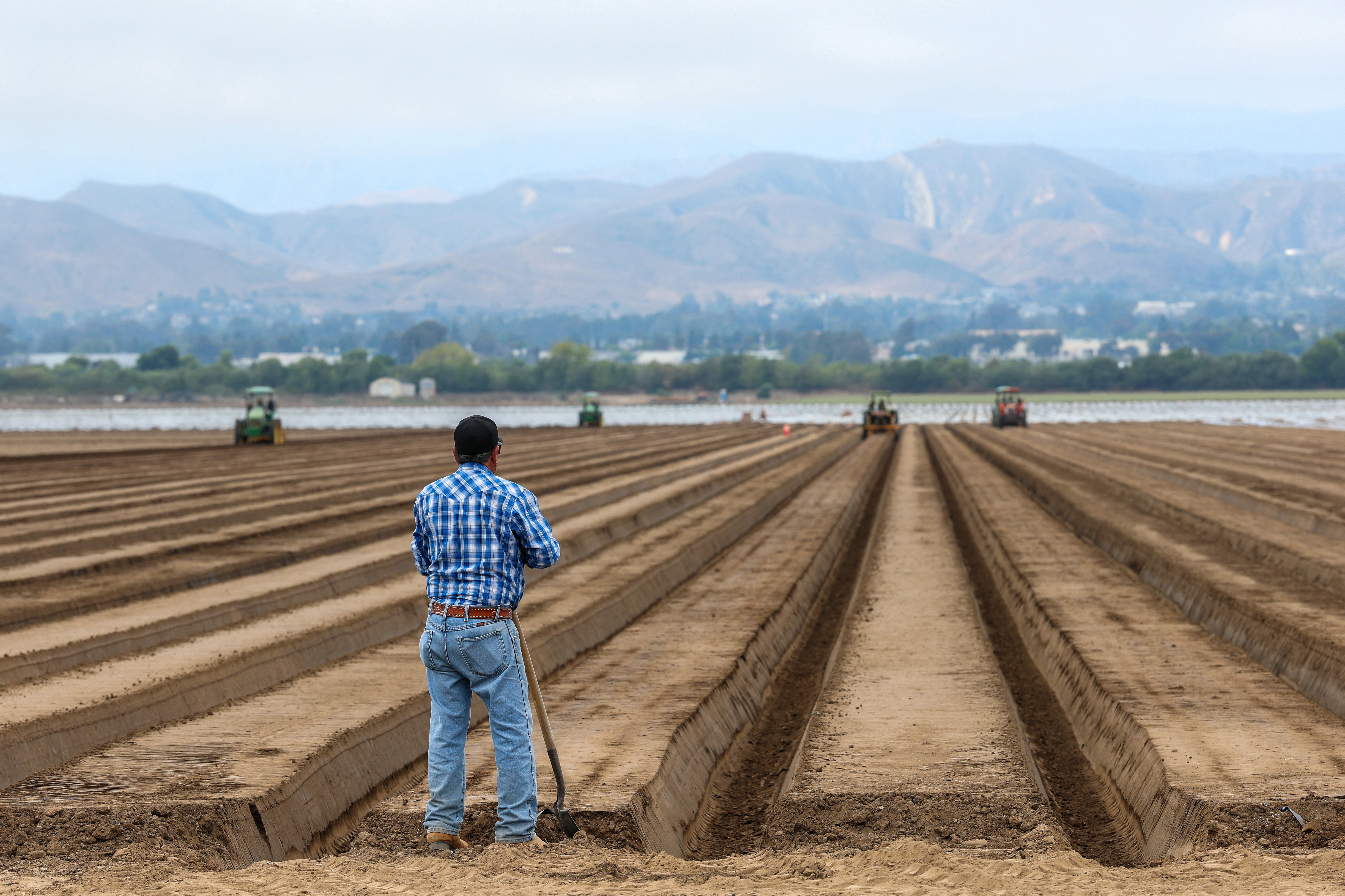 La presión de Trump podría aumentar la demanda de trabajadores agrícolas con visa