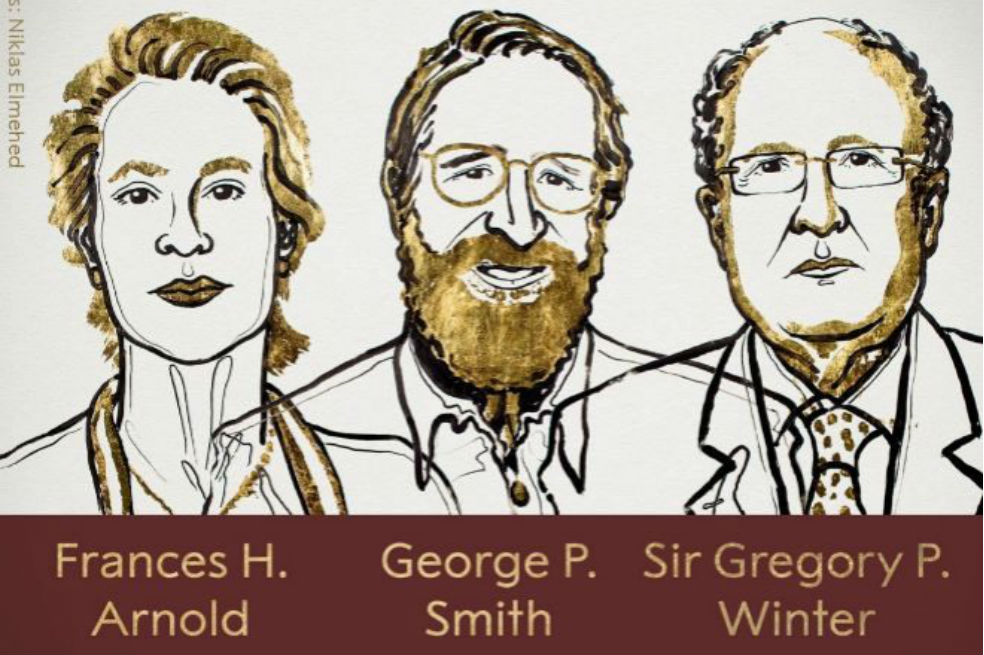 El Nobel de Química premia trabajos sobre proteínas