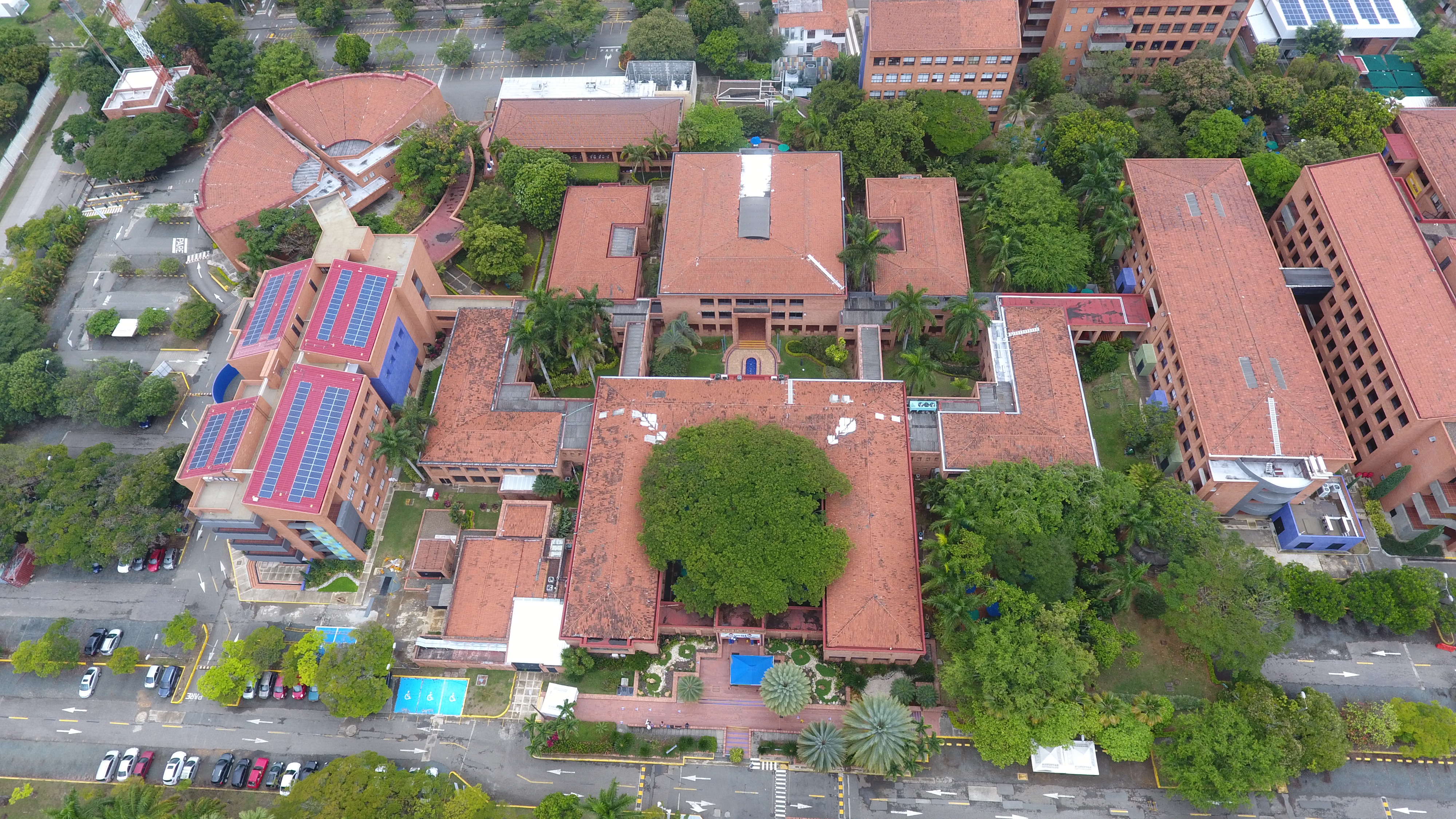 El valor de la presencialidad: un reto en el nuevo panorama de la educación