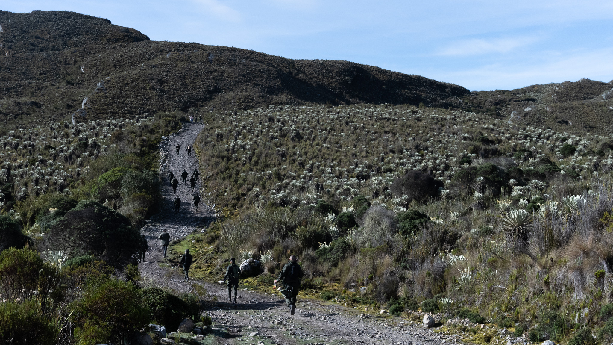Ruta de conservación de páramos en Colombia ganó premio Alejandro Ángel Escobar 2023