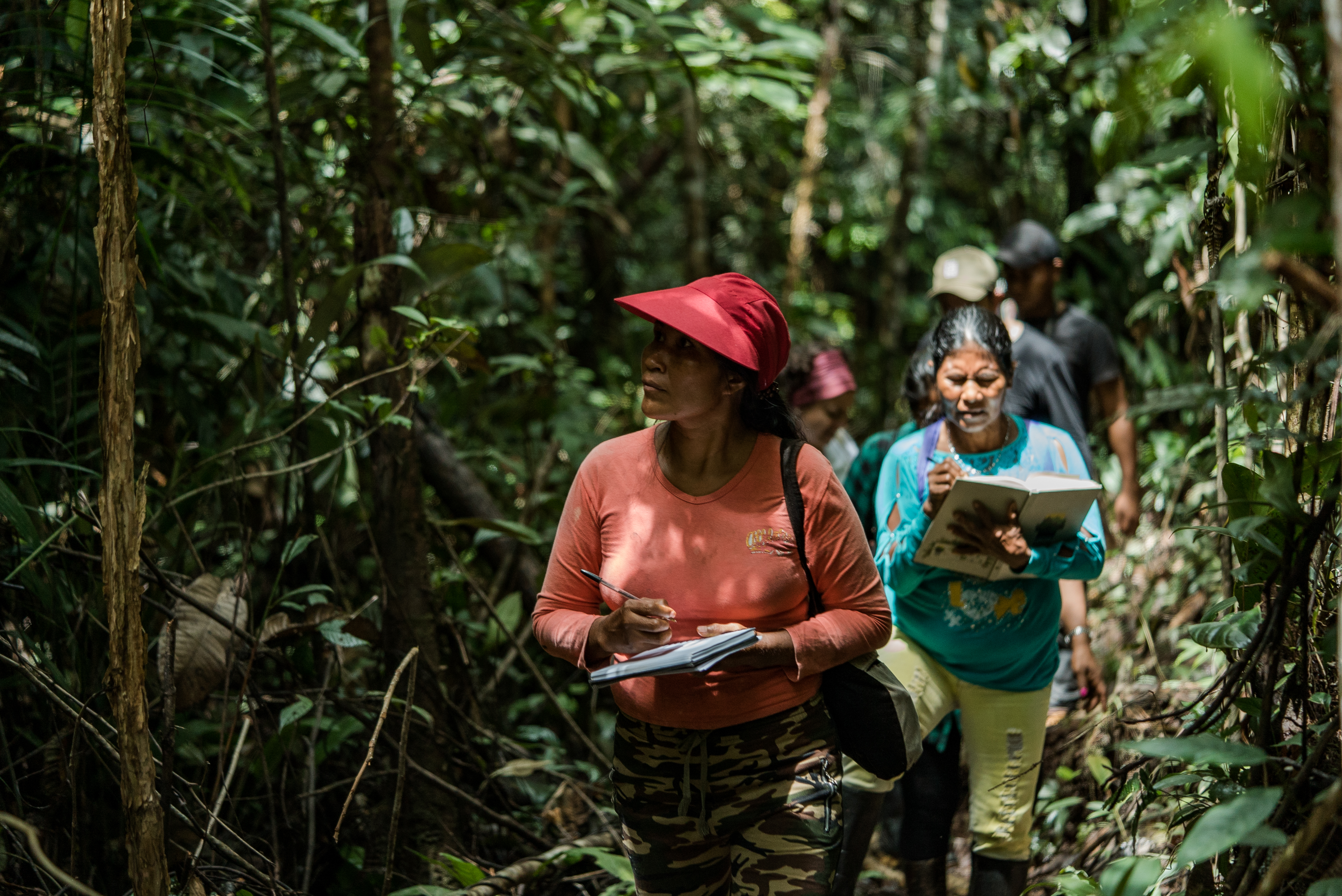 La apuesta de Colombia para cumplir con la primera meta del Marco de Biodiversidad
