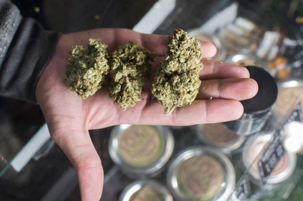 El fracaso de la guerra contra las drogas