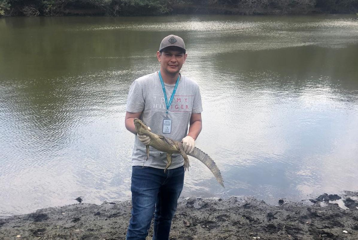 En el sur del Meta, la autoridad ambiental ha atendido a 16 reptiles.