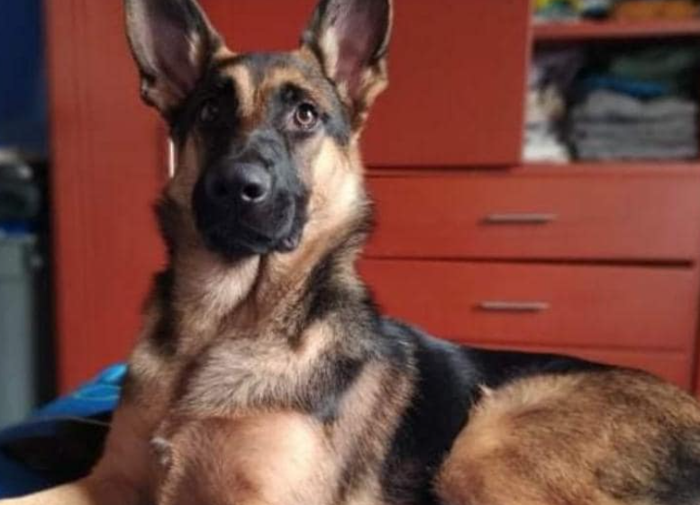 Kira