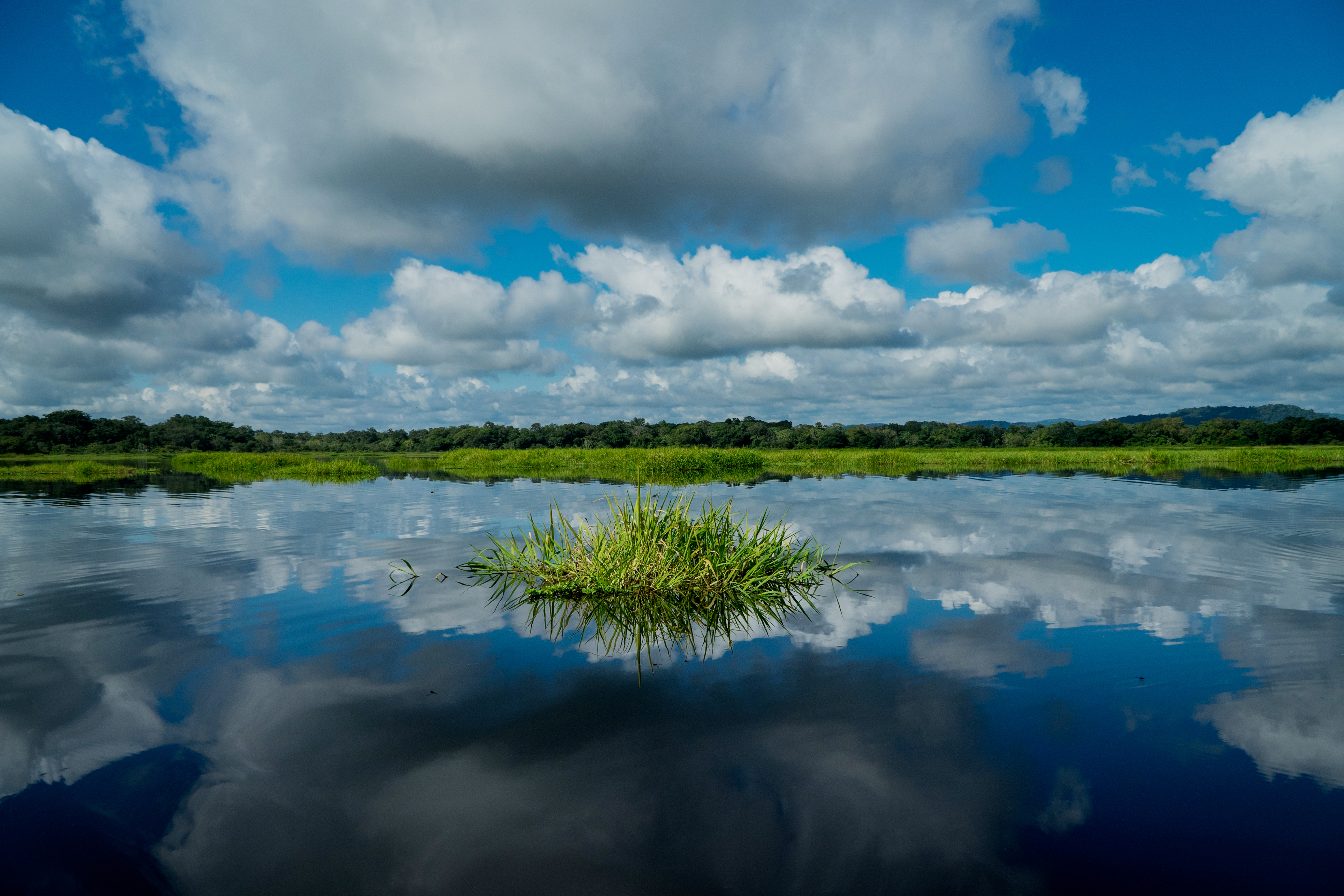 Ciénaga Chiqueros- Fotografía Maura Callejas, cortesía Fundación Natura