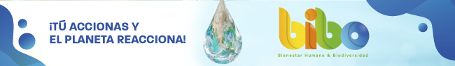 El primer recuerdo de Sofía en el que hubo una consciencia ambiental sucedió cuando aún estaba en el colegio. “Recuerdo mucho el documental de Al Gore sobre el cambio climático – ‘Una verdad incómoda’-, después de verlo me di cuenta de la importancia de cuidar el medio ambiente y empecé a pensar un poco más en mis acciones cotidianas”, cuenta.(Lea aquí la introducción a la campaña BIBO 2019-2020)
