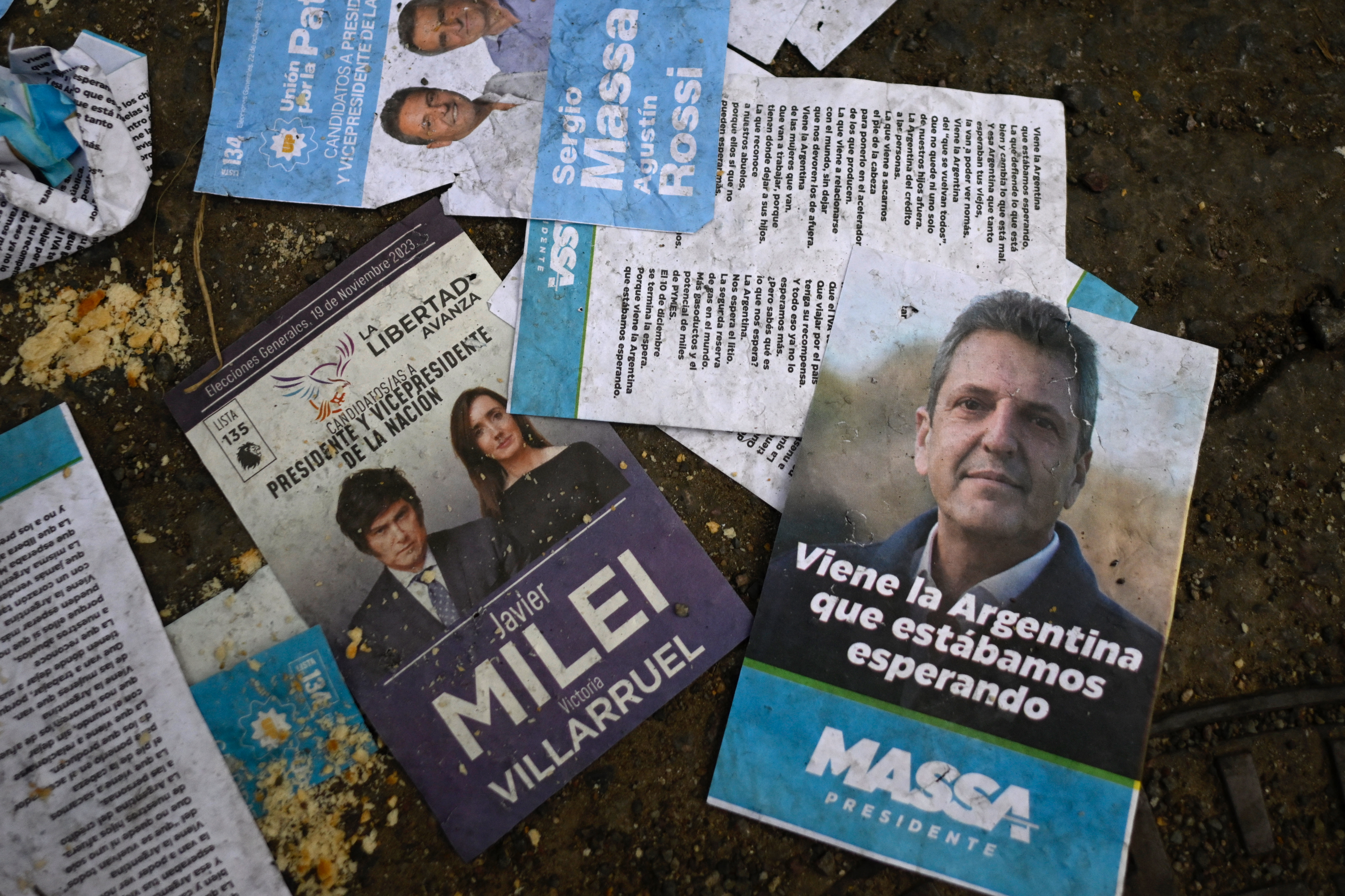 Ñoquis, pingüinos y gorilas, diccionario para entender la política en Argentina