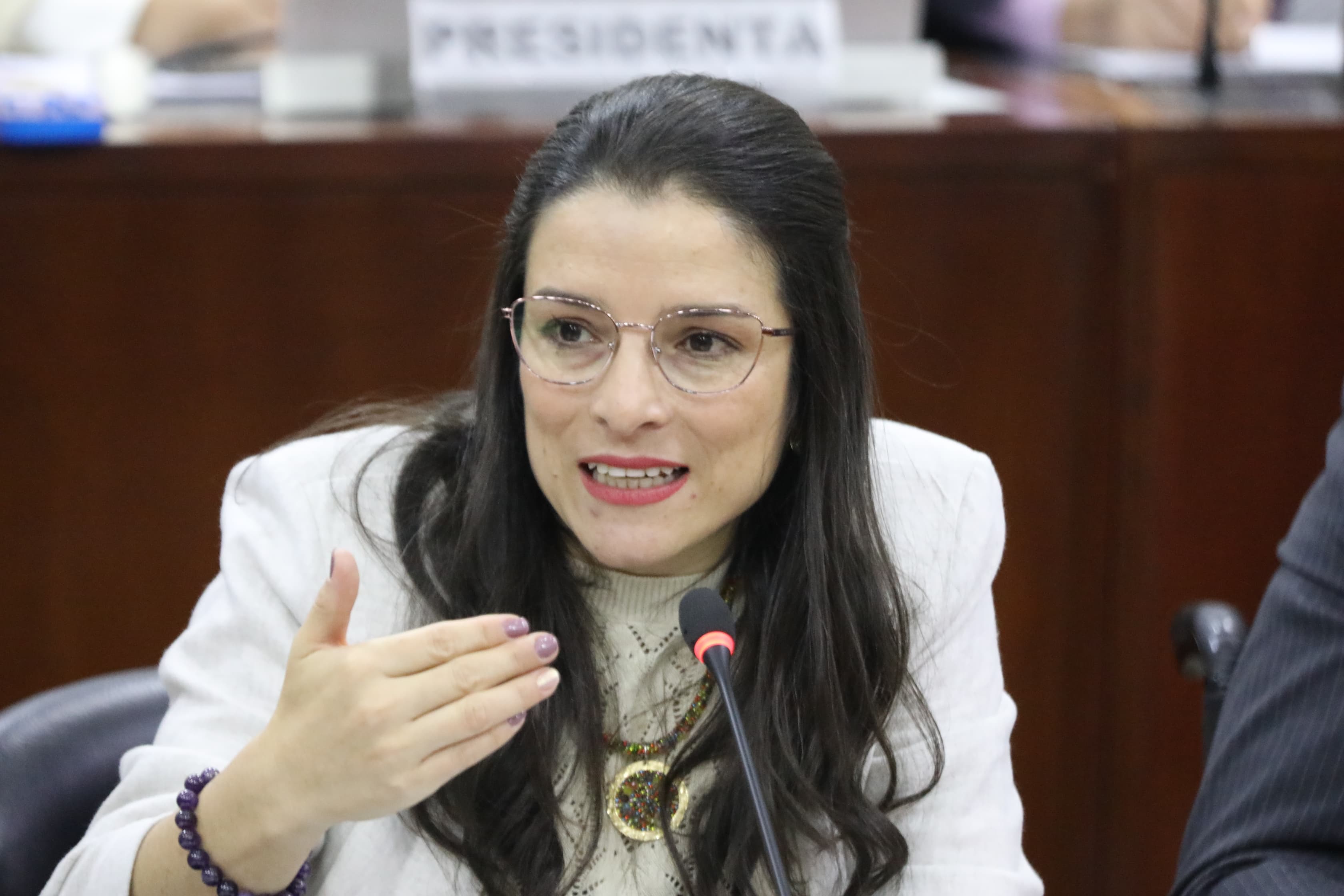 Martha Alfonso anunció que se postulará para la presidencia de la Cámara