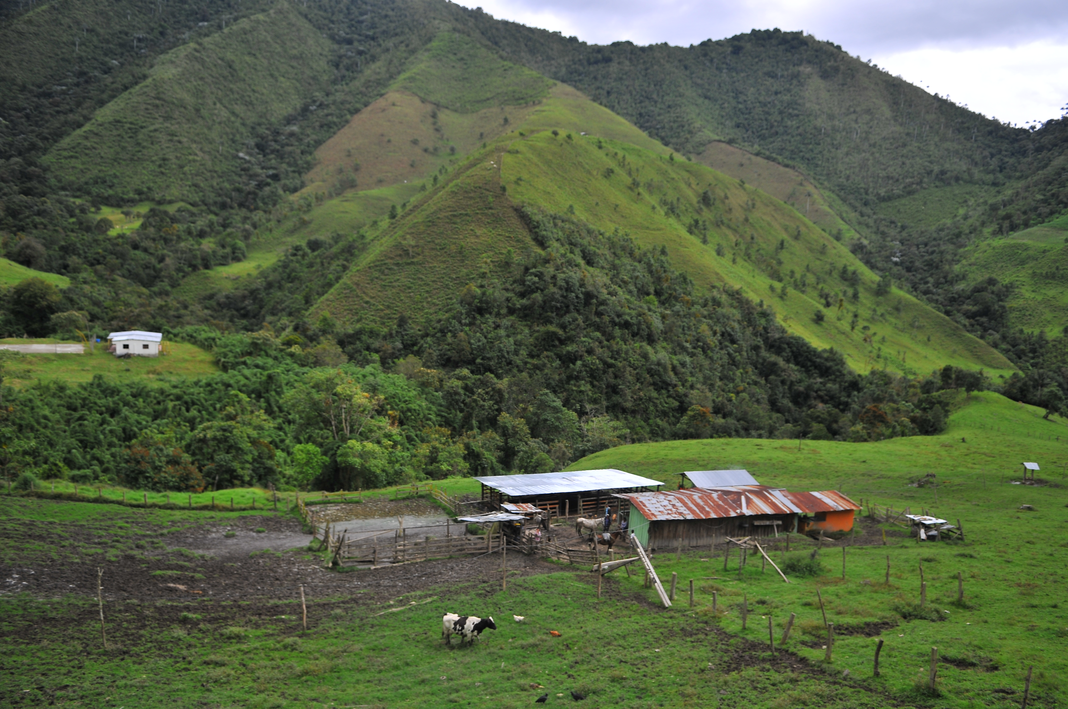 Reforma Agraria: habrá entrega de tierra y proyectos productivos por $1,4 billones