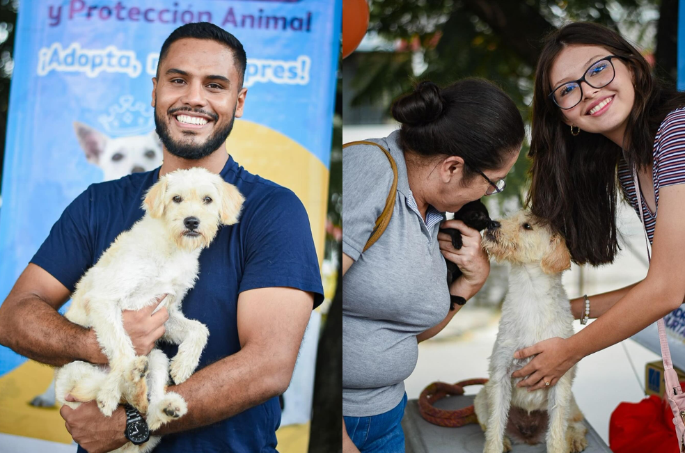 Foto: Centro de Atención y Protección Animal de Ibagué
