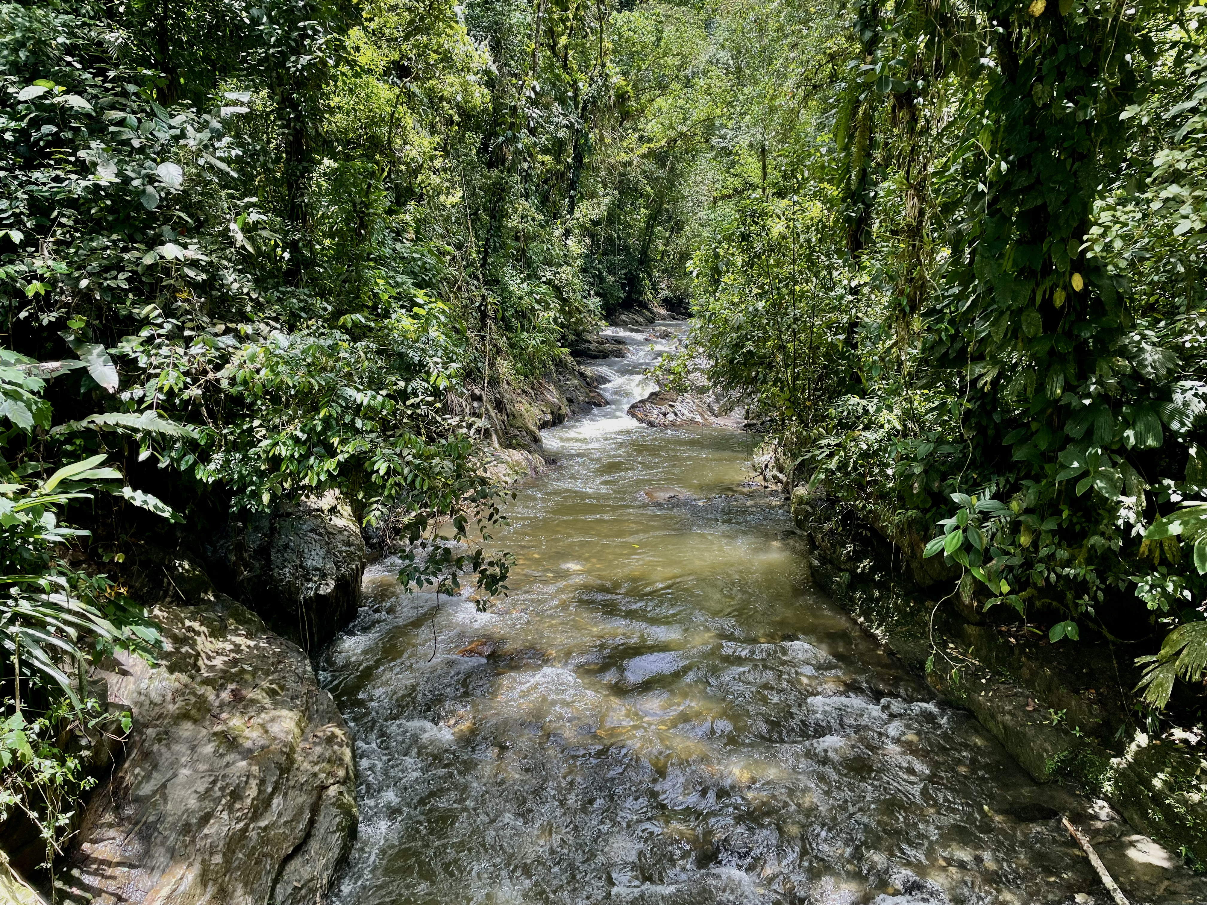 Afectación a los ecosistemas de agua dulce en Colombia. /Simon de Man - WWF Colombia