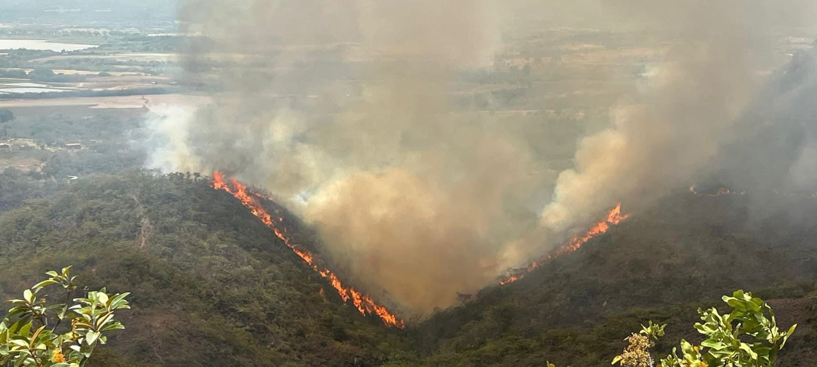 Incendios en Huila: declaran calamidad pública por seis meses | Noticias hoy | EL ESPECTADOR