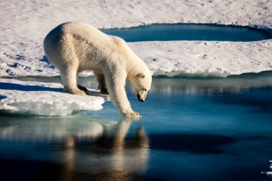 El cambio climático sí es culpable del deshielo de los glaciares: científicos