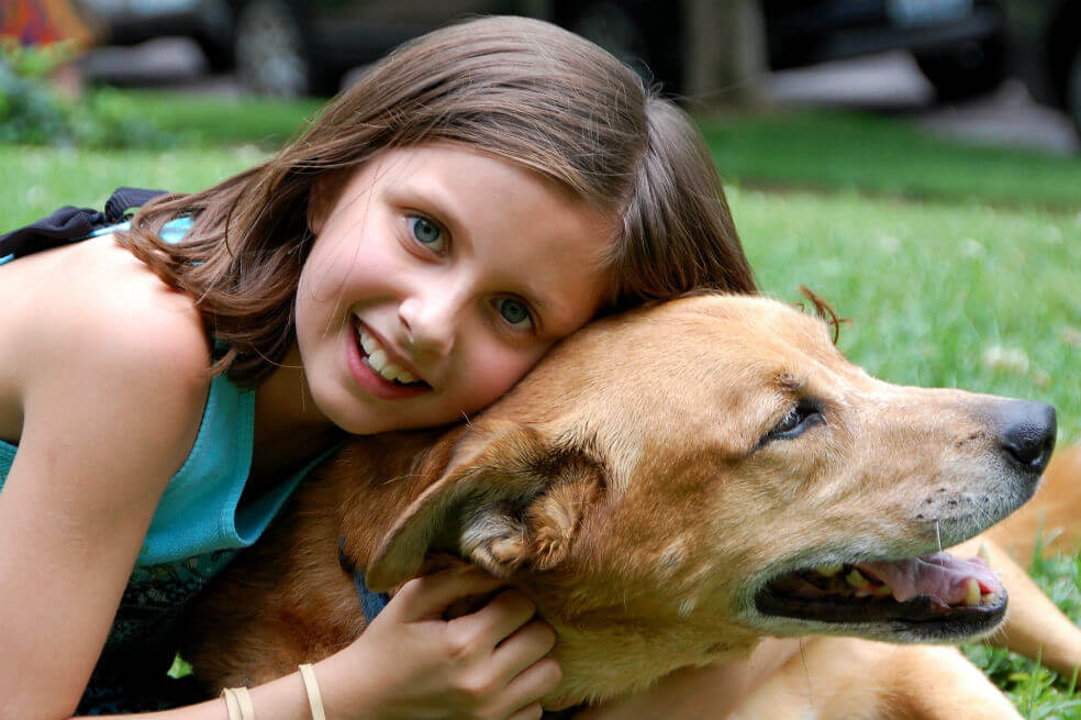La importancia de los perros en la vida de los niños