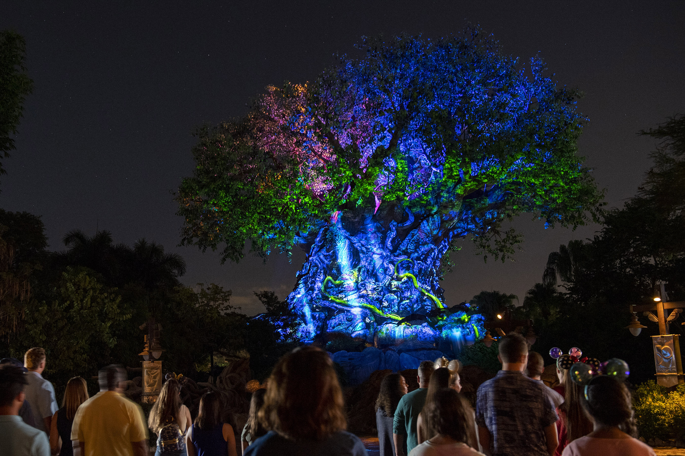 El espectáculo Beacons of Magic, en el Árbol de la Vida, en Animal Kingdom.