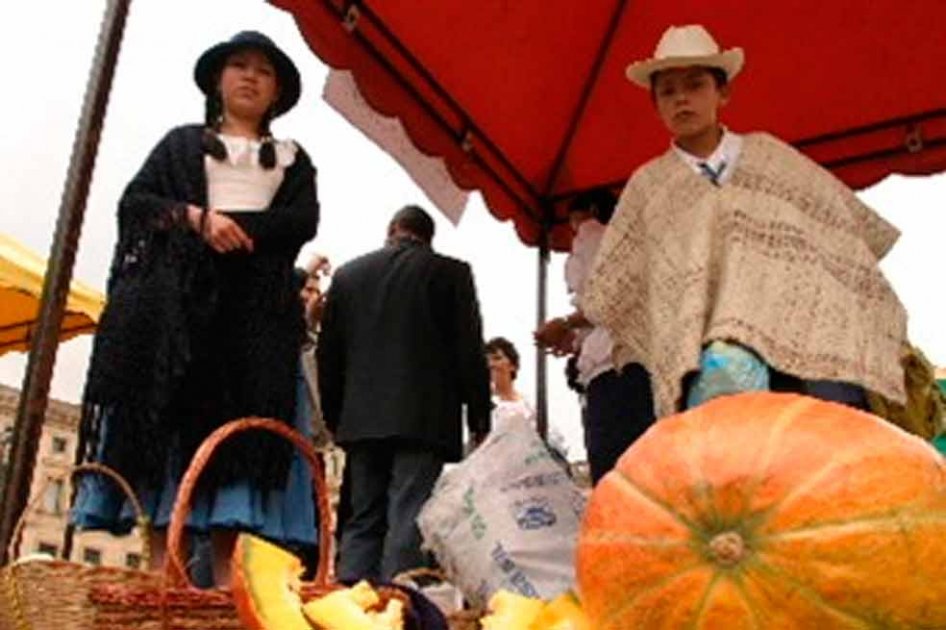 Internet para los campesinos, pretensión de la Alcaldía de Bogotá