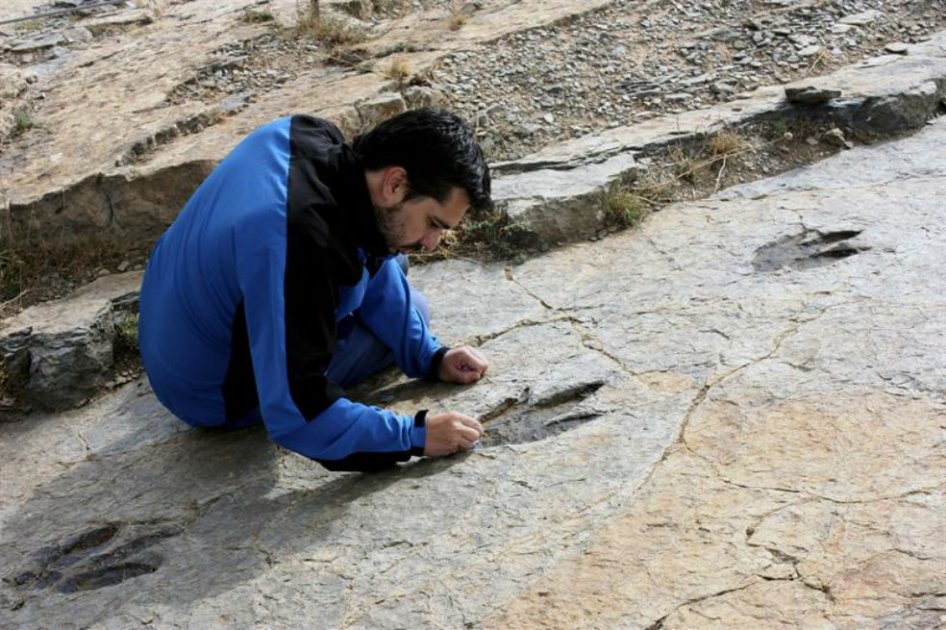 Identifican en La Rioja la huella de un nuevo dinosaurio bípedo carnívoro