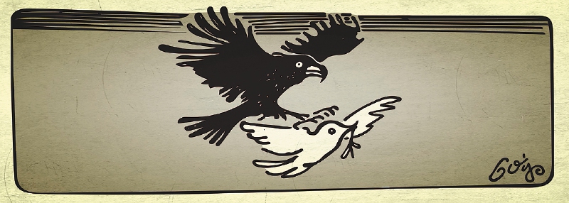 Rapaces en Tierralta