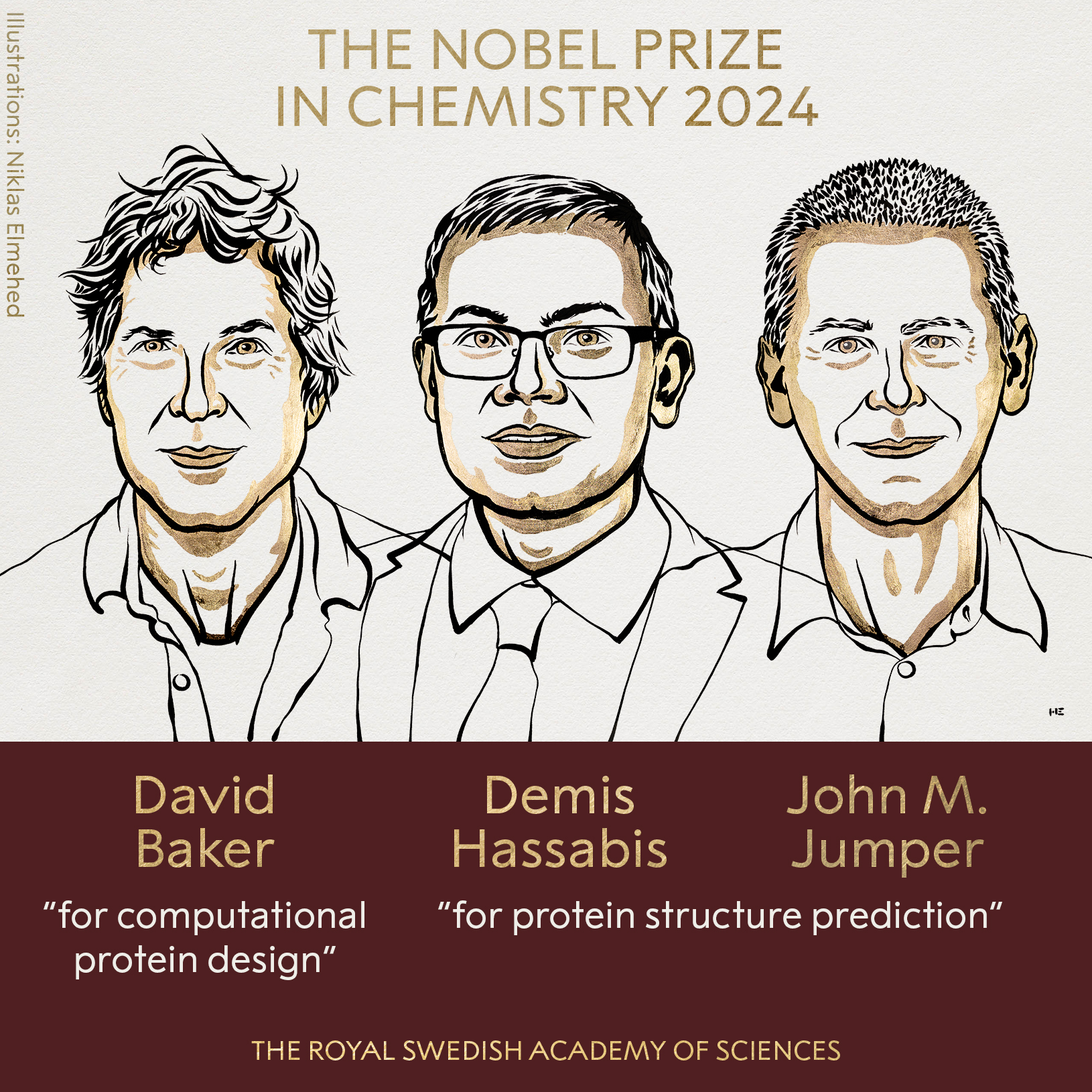 Nobel de Química 2024 a quienes descifraron el código de las proteínas humanas