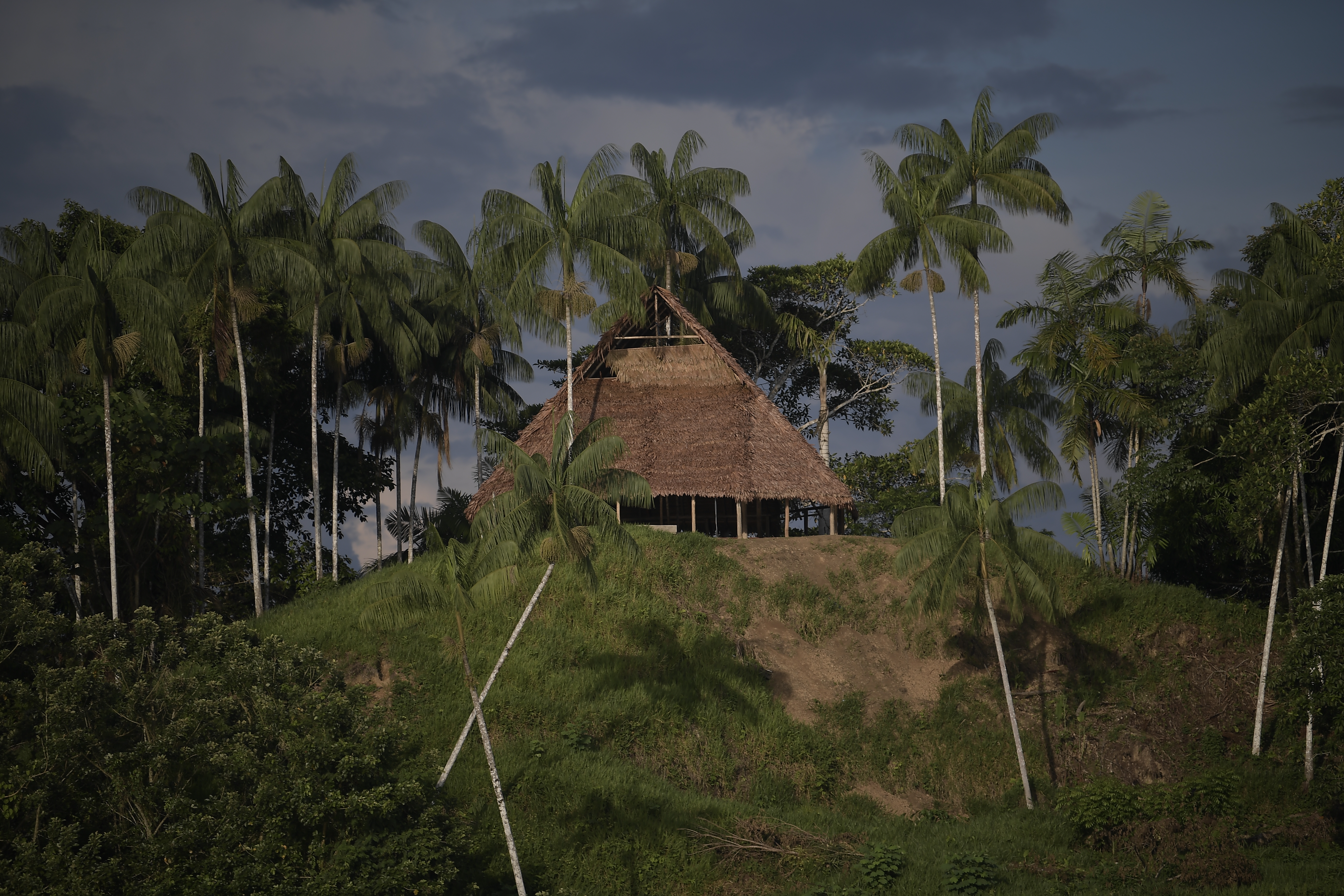 Diferentes aspectos de este municipio del Amazonas: Habitantes, ejército, flora, animales y lanchas