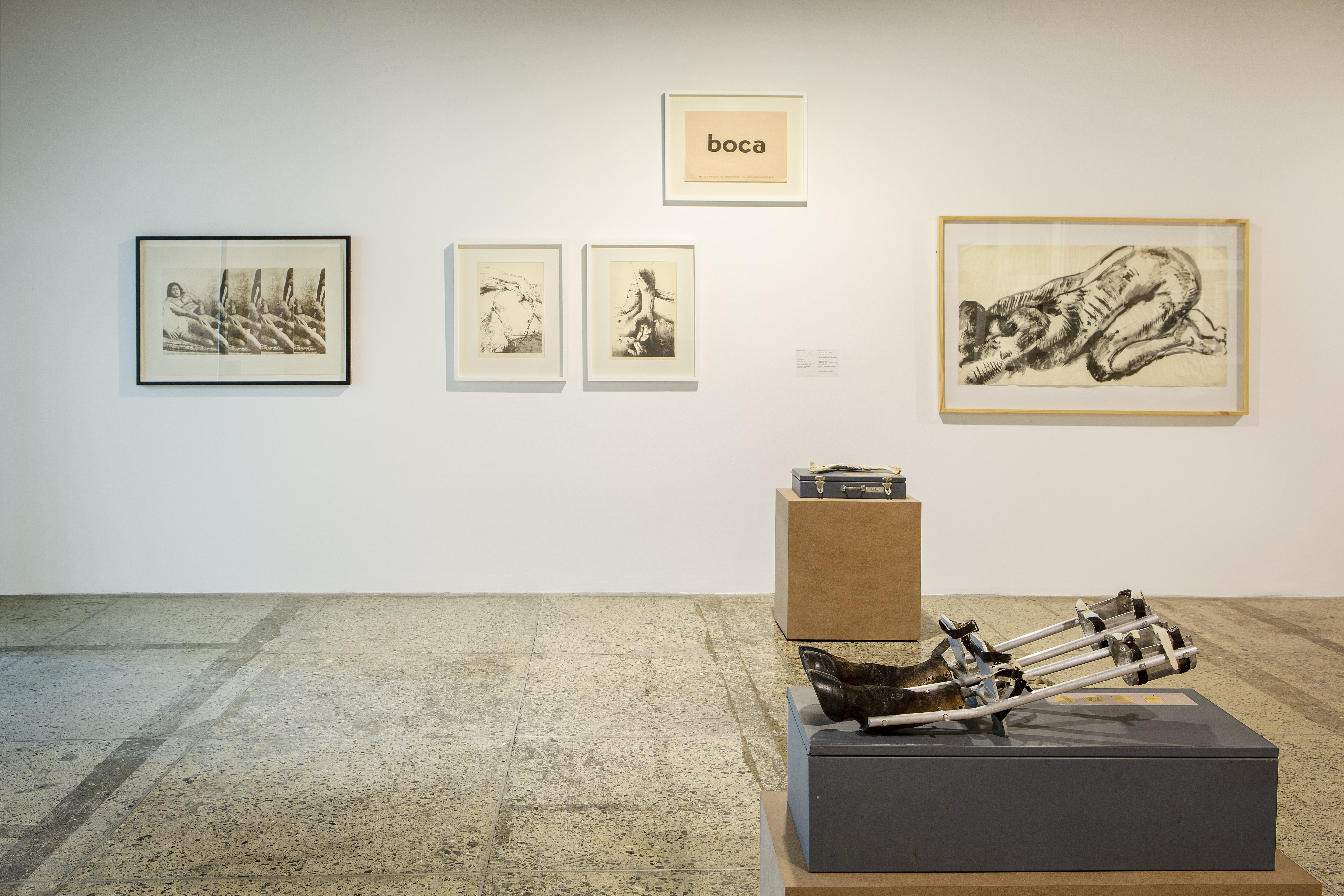 Algunas de las obras expuestas en el Museo de la Tertulia se centra en "cómo desclasificar la naturaleza del museo, partiendo del reconocimiento de sus orígenes problemáticos en relación con la naturaleza, las culturas no-occidentales y la divergencia sexual y política".