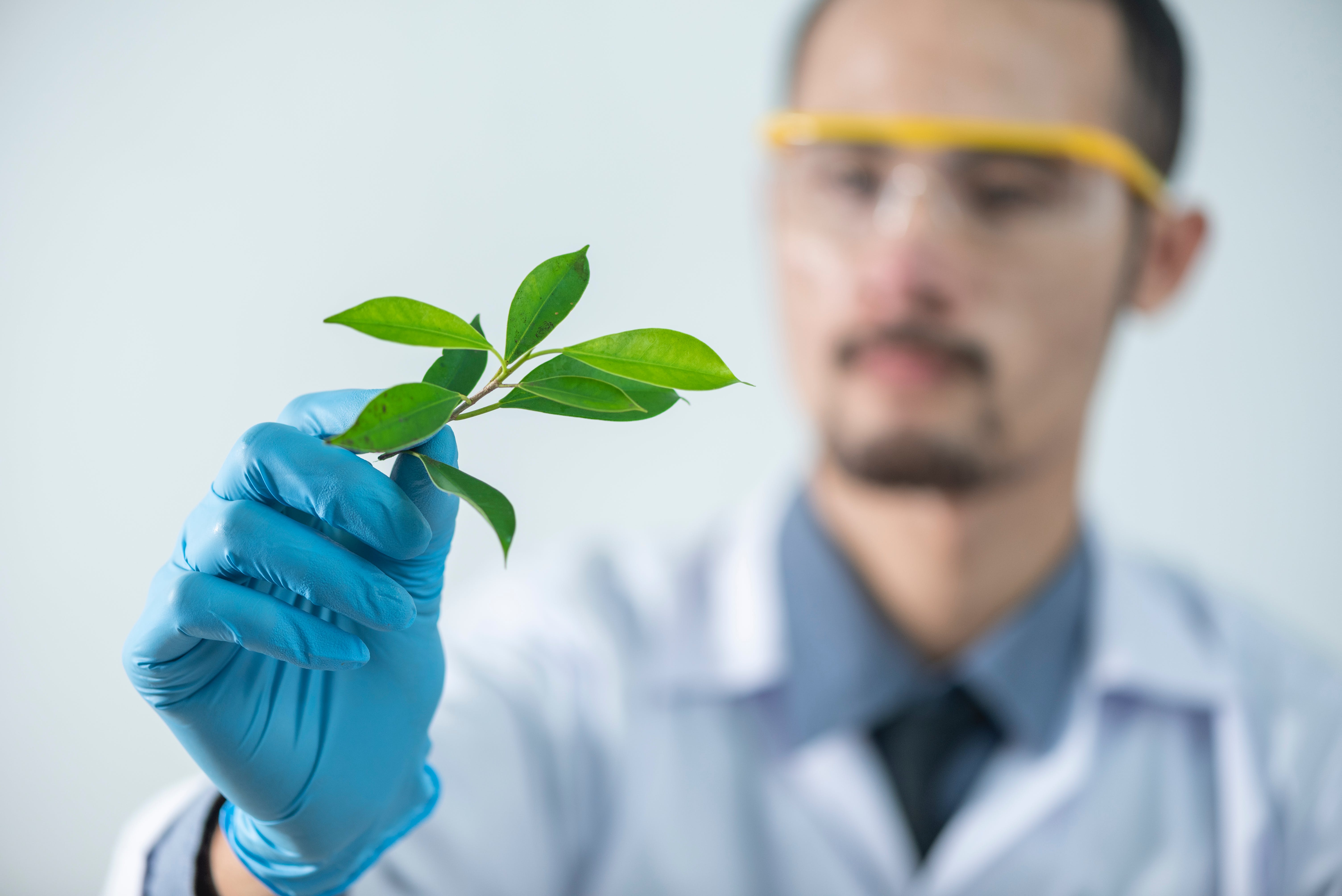 Cinco avances científicos de 2023 inspirados en la naturaleza