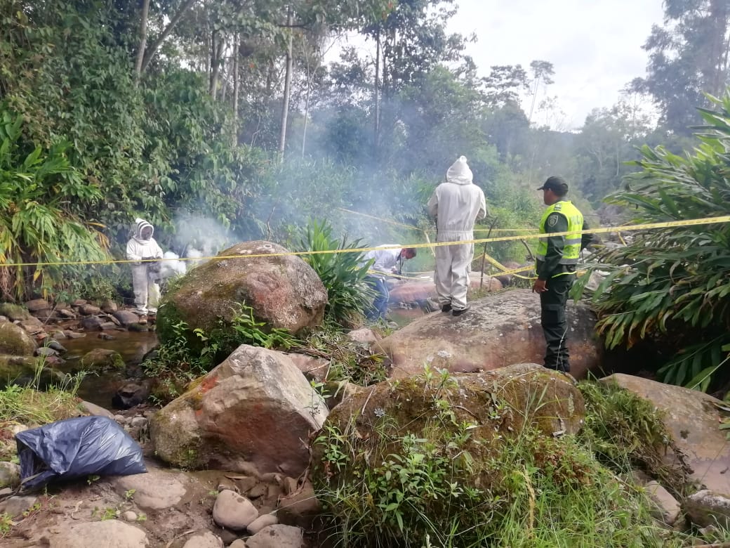 Menor de edad murió por ataque de abejas en San Bernardo, Cundinamarca