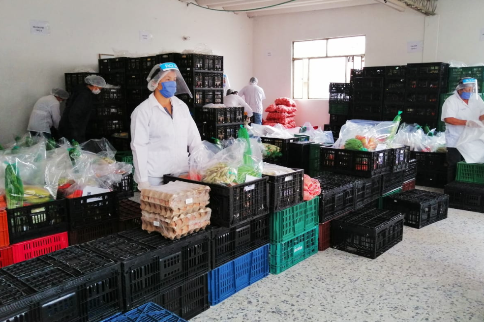 Las canastas cumplen con un aporte nutricional del 40% de los requerimientos de energía y nutrientes determinados en las Recomendaciones de Ingesta de Energía y Nutrientes (RIEN) que establece el Ministerio de Salud.