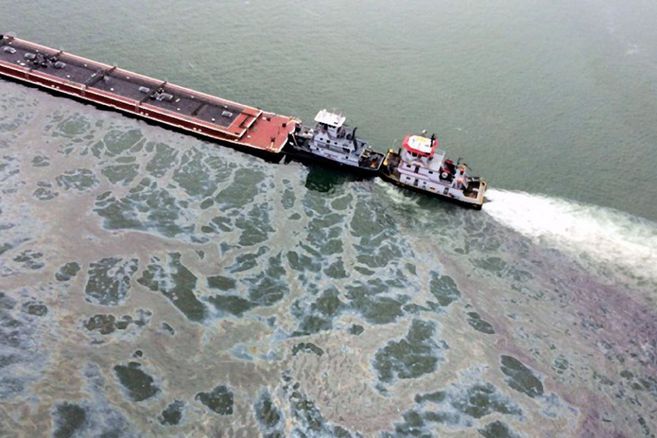 ¿Cómo evitar que derrames de petróleo dañen el medio ambiente?