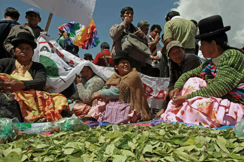 Bolivia celebró el día del mascado de coca
