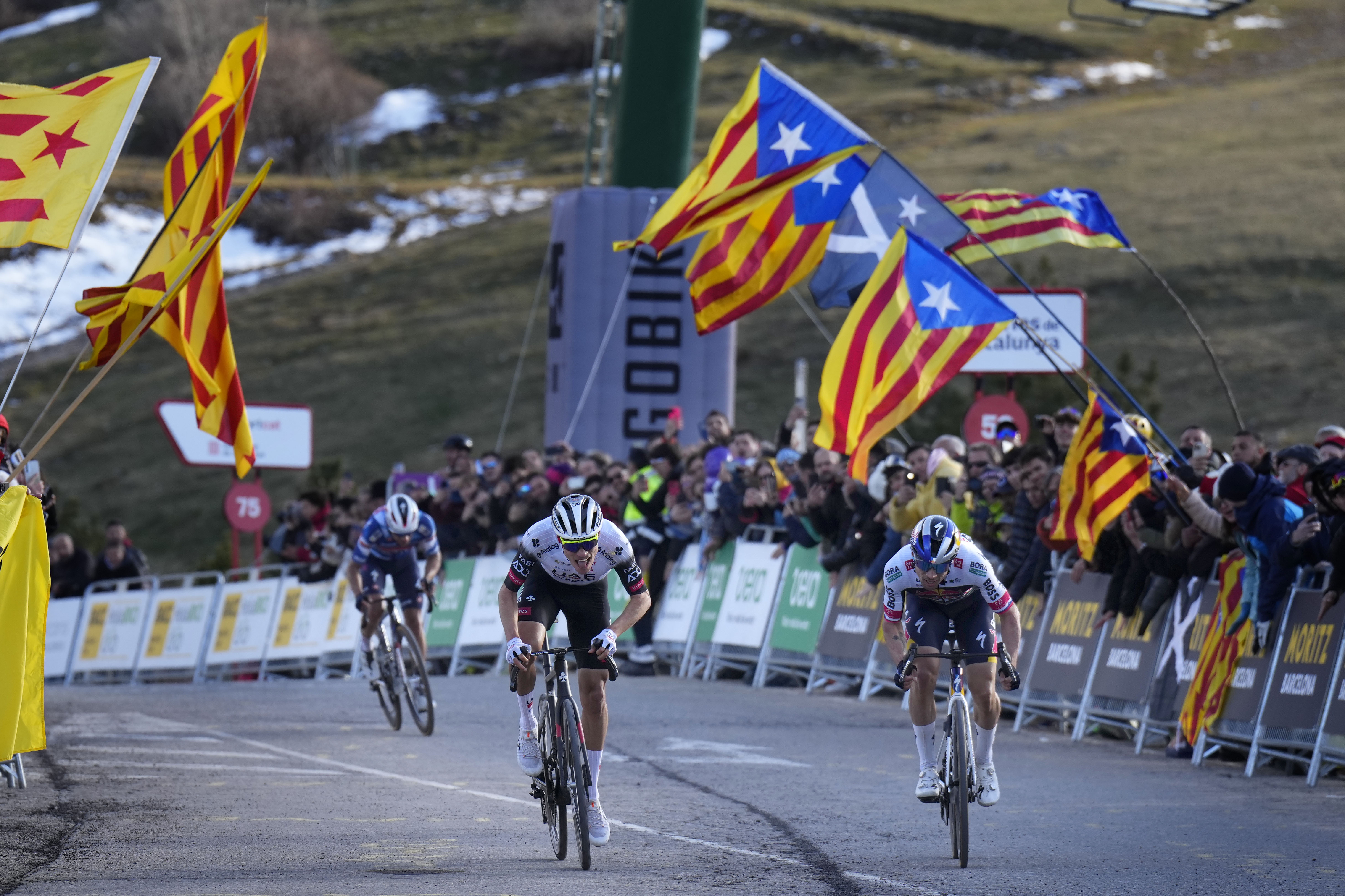 Ayuso derrotó a Roglič en la montaña y es el nuevo líder de la Vuelta a Cataluña
