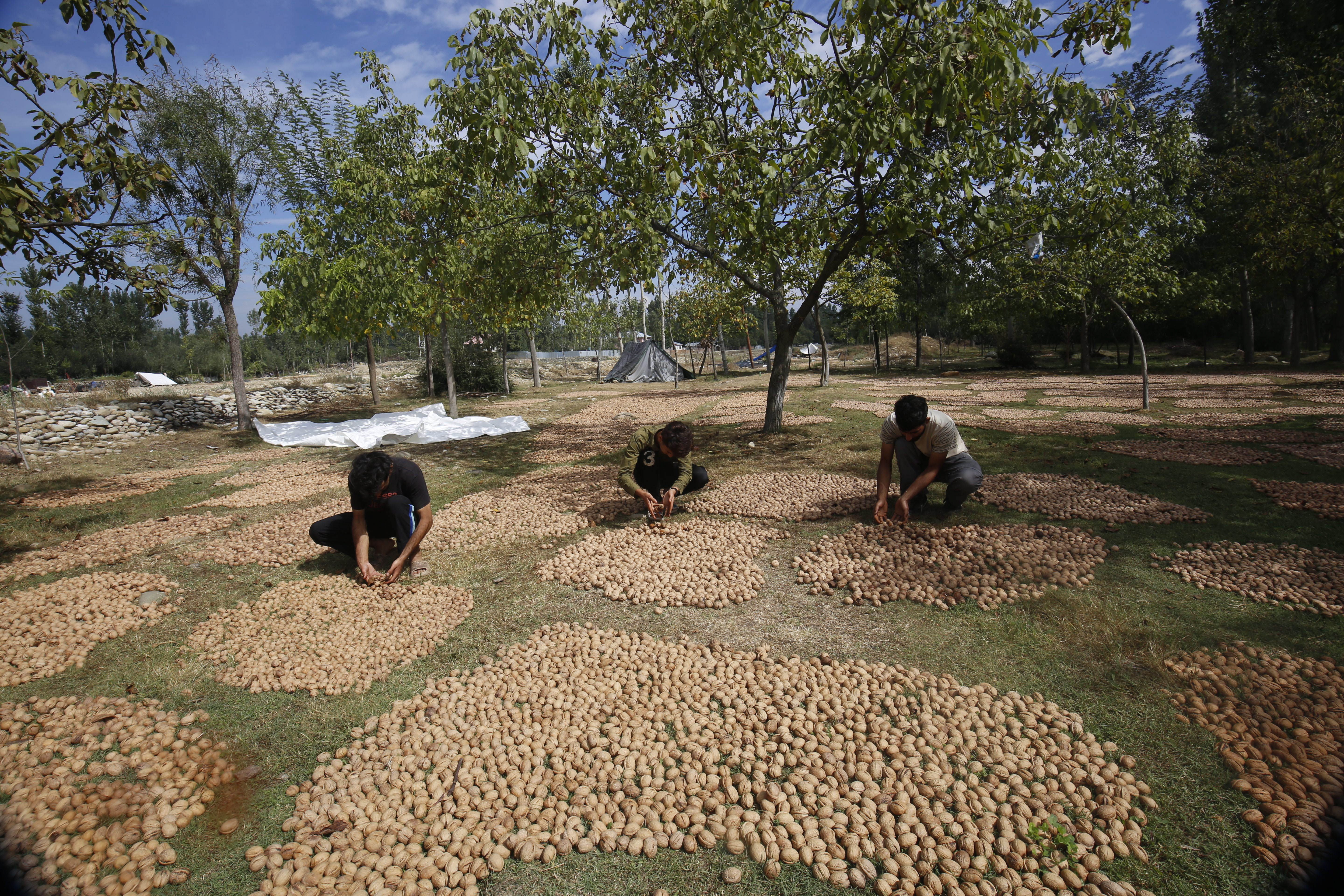 Consecuencias de la agricultura y alimentación costarían 10 billones de dólares