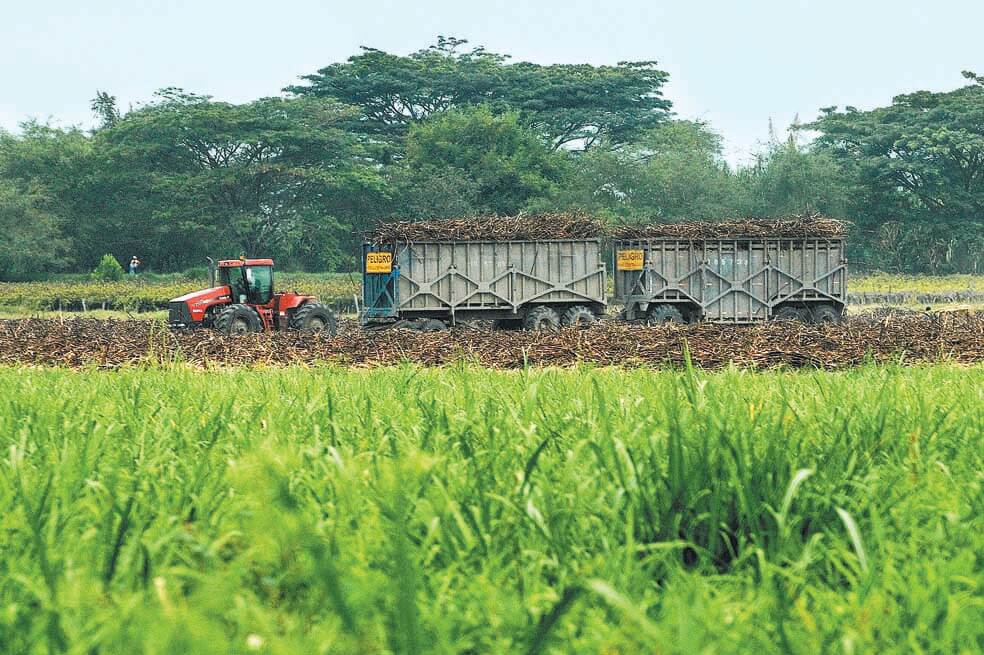 Denuncian secuestro de trabajador de un ingenio azucarero en el Cauca