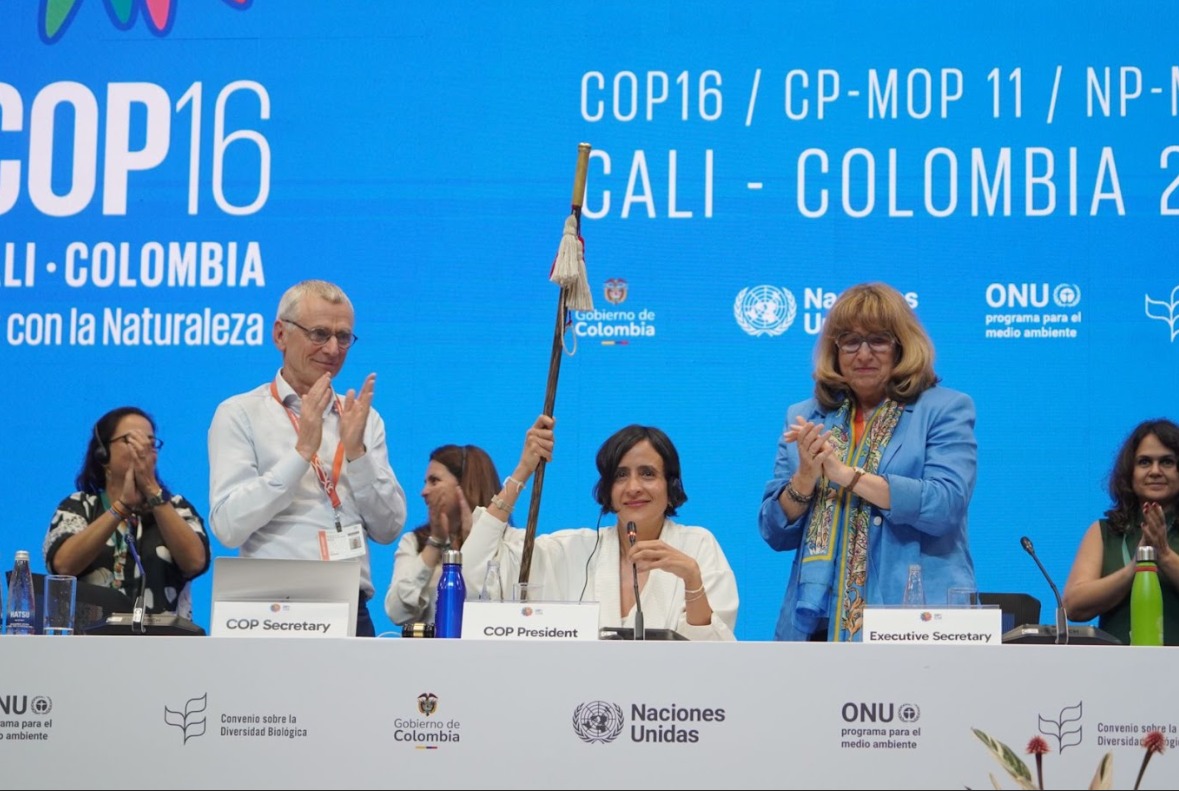 Colombia da pasos históricos en la protección ambiental