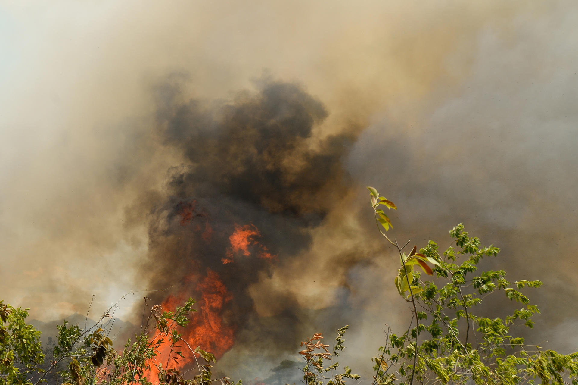 Incendios en Colombia: es hora de avanzar hacia un manejo integral del fuego